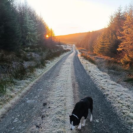 Meadowsweet Forest Lodge Fintown Luaran gambar
