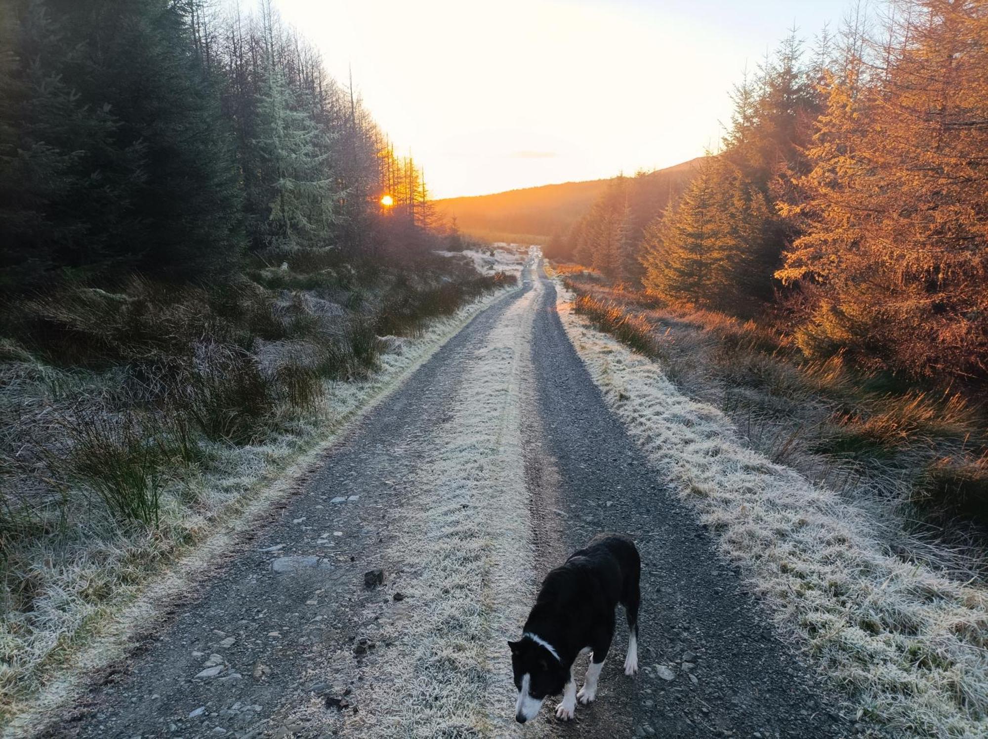 Meadowsweet Forest Lodge Fintown Luaran gambar